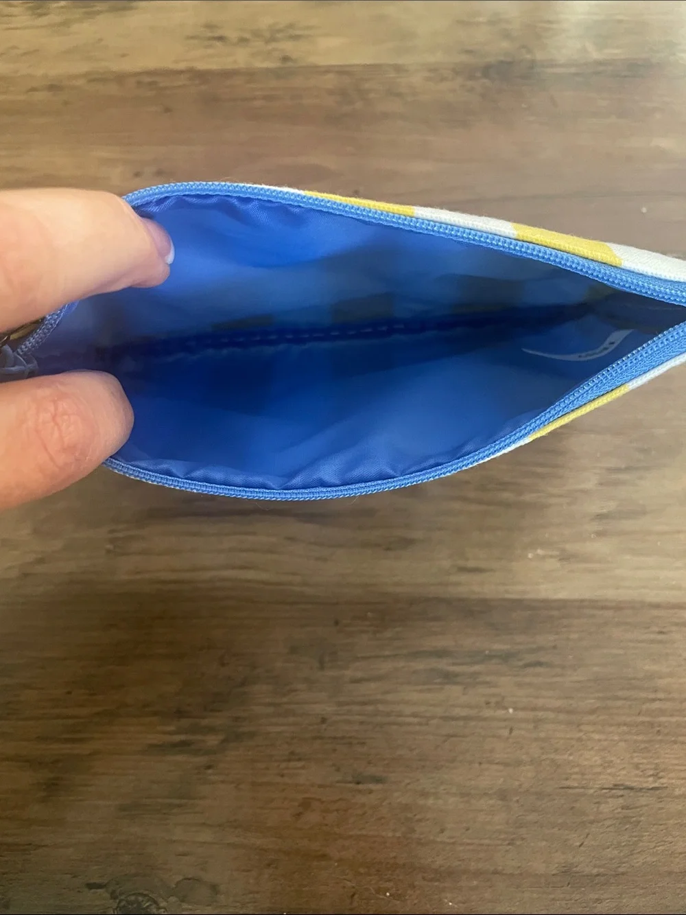 ipsy canvas cosmetic